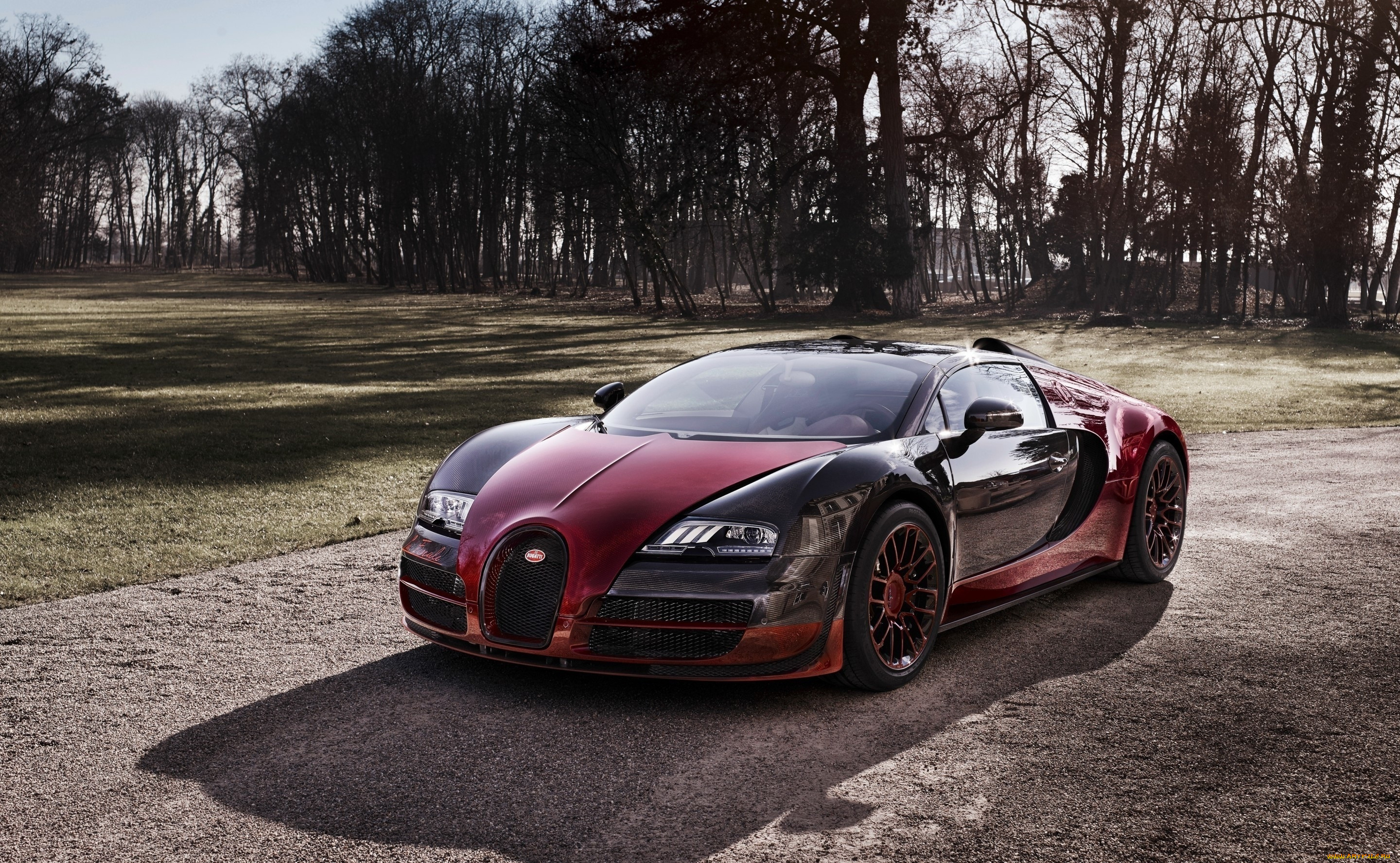   2015, , bugatti, , , 2015